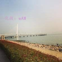 ֦Ҷï